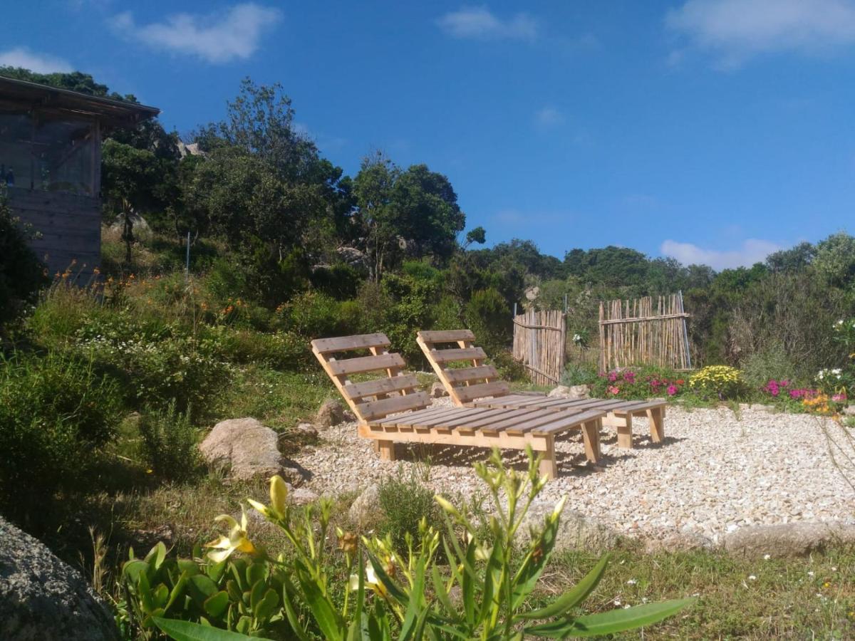 La Cera Farm Camping B&B Santa Teresa Gallura Exteriör bild