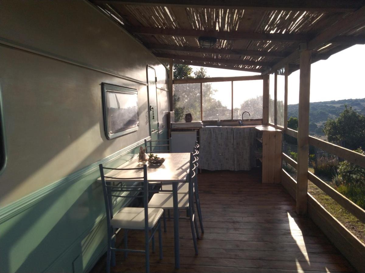 La Cera Farm Camping B&B Santa Teresa Gallura Exteriör bild