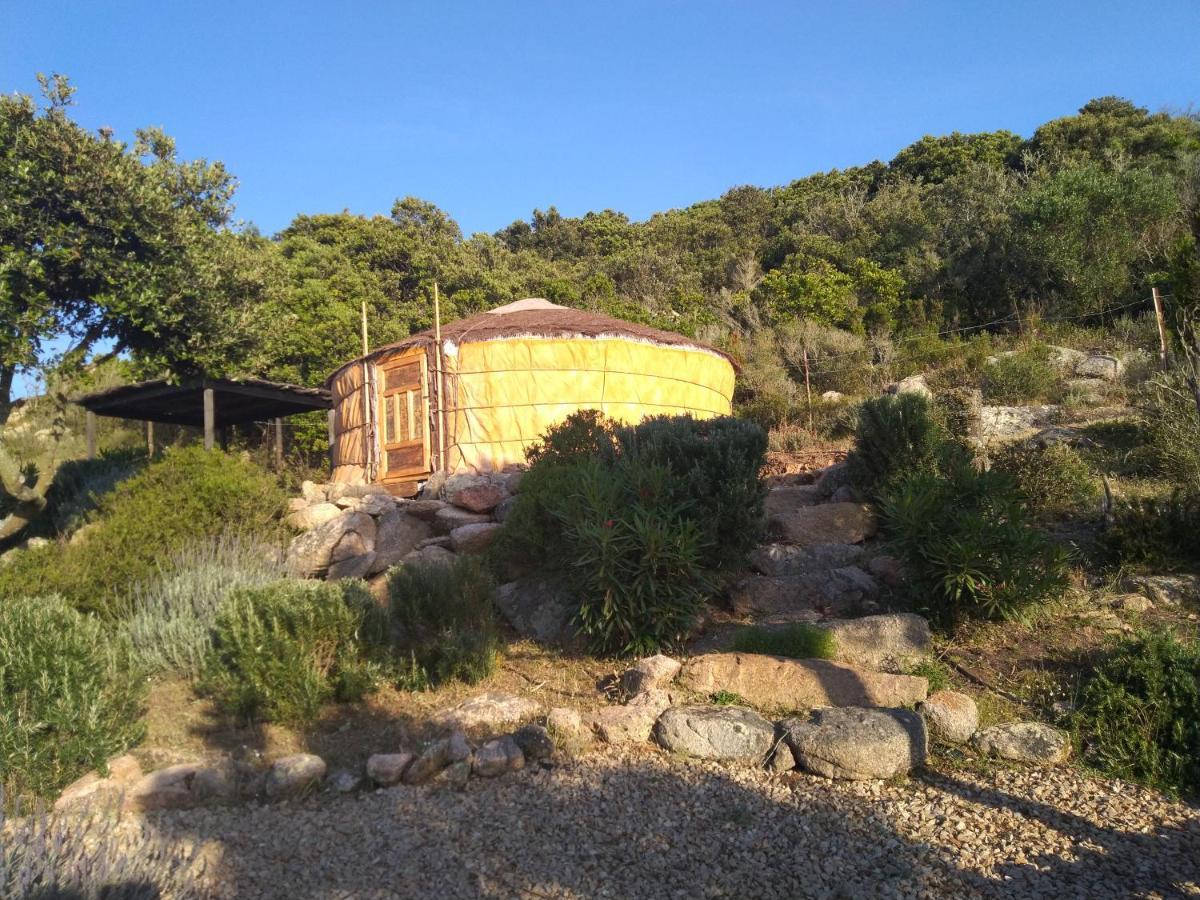 La Cera Farm Camping B&B Santa Teresa Gallura Exteriör bild