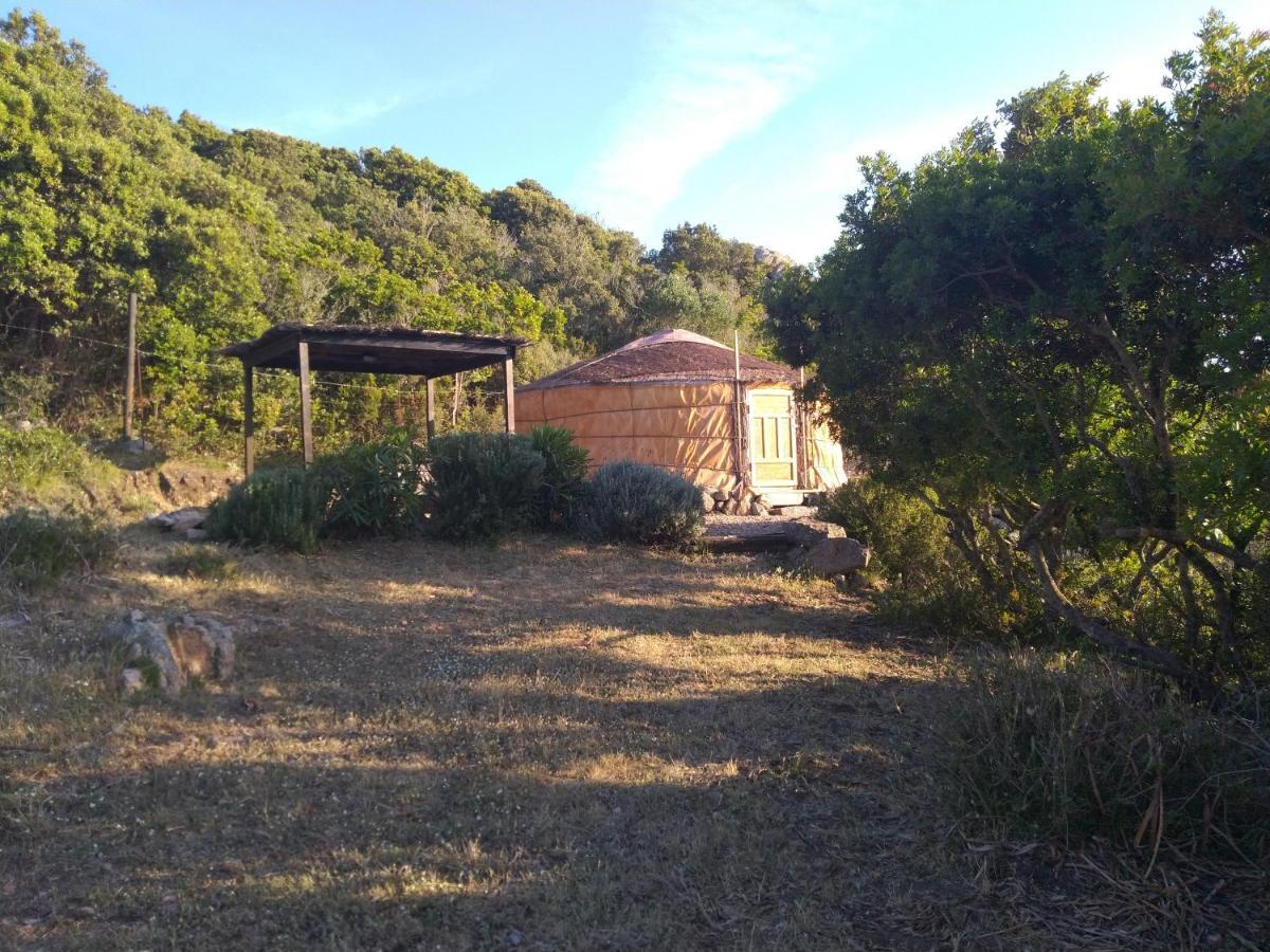 La Cera Farm Camping B&B Santa Teresa Gallura Exteriör bild