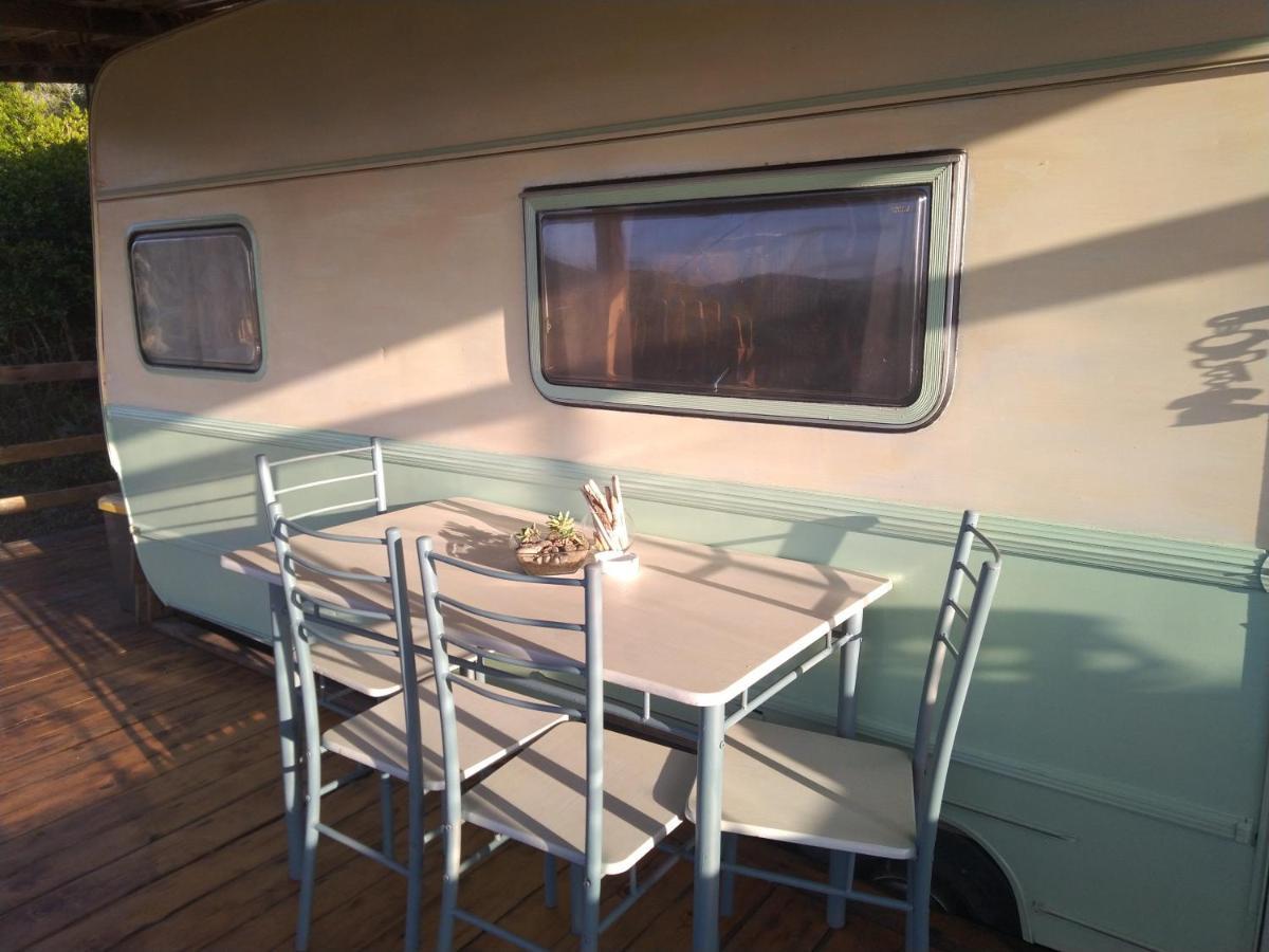 La Cera Farm Camping B&B Santa Teresa Gallura Exteriör bild