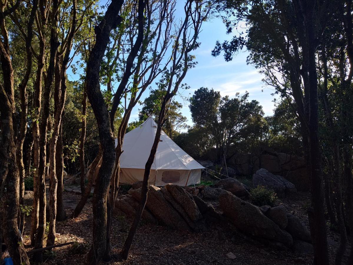 La Cera Farm Camping B&B Santa Teresa Gallura Exteriör bild