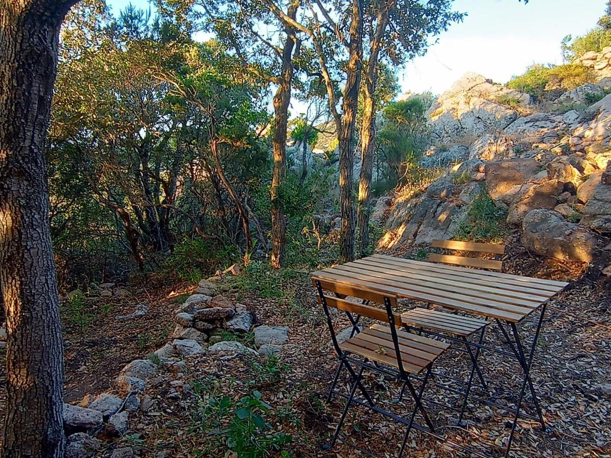 La Cera Farm Camping B&B Santa Teresa Gallura Exteriör bild