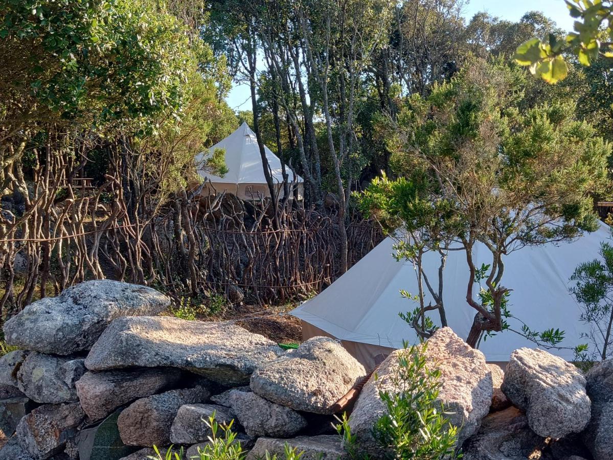 La Cera Farm Camping B&B Santa Teresa Gallura Exteriör bild