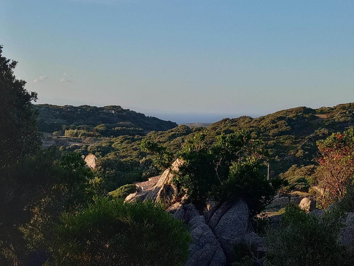 La Cera Farm Camping B&B Santa Teresa Gallura Exteriör bild