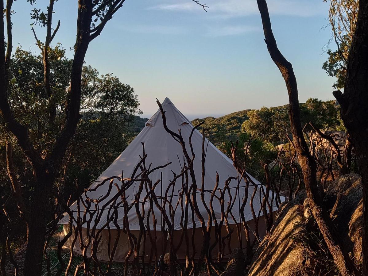 La Cera Farm Camping B&B Santa Teresa Gallura Exteriör bild