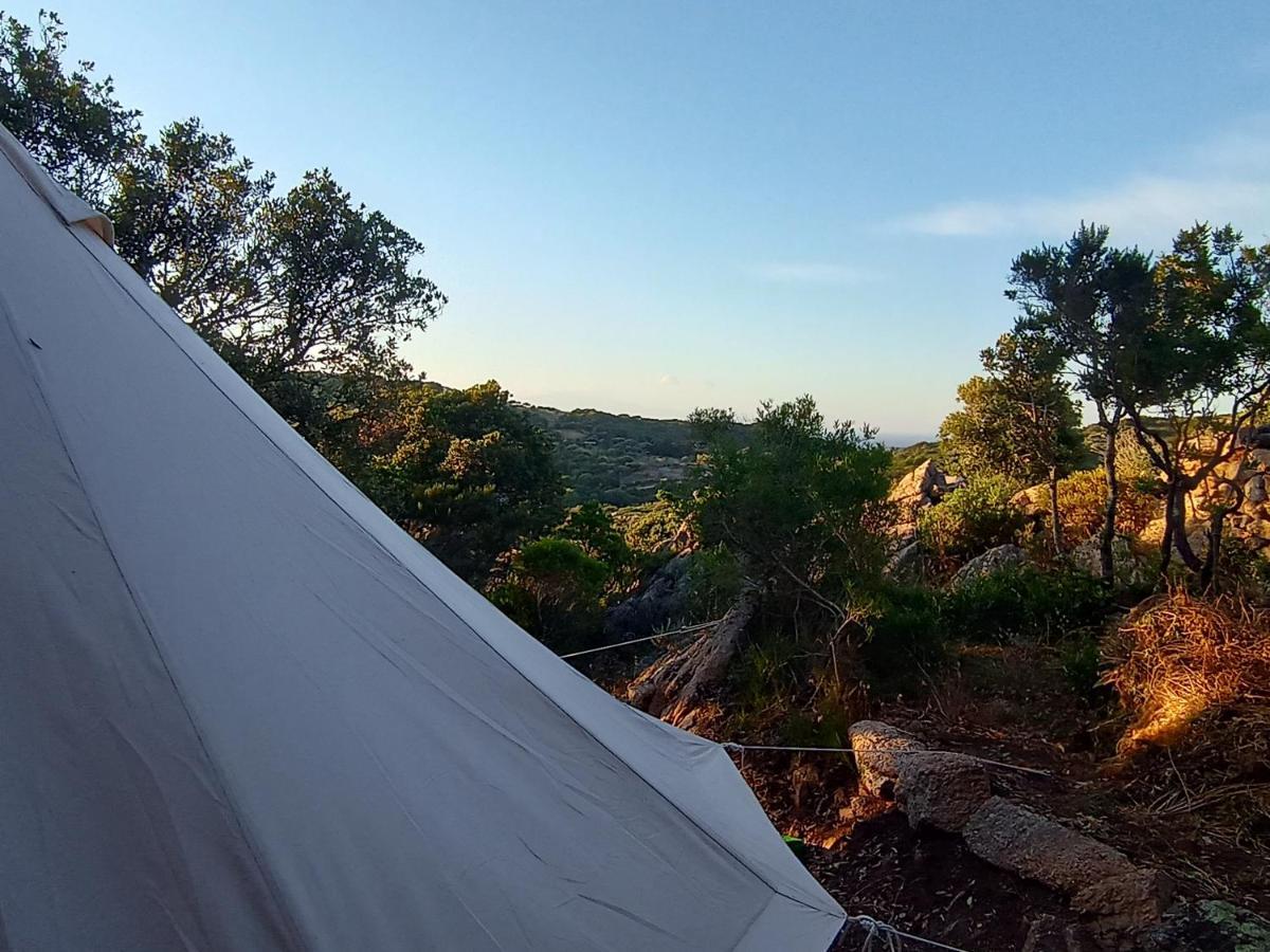 La Cera Farm Camping B&B Santa Teresa Gallura Exteriör bild