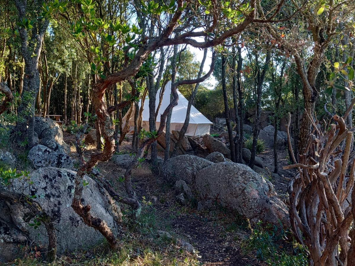 La Cera Farm Camping B&B Santa Teresa Gallura Exteriör bild