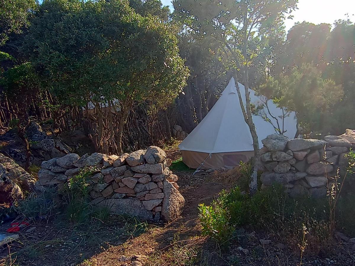 La Cera Farm Camping B&B Santa Teresa Gallura Exteriör bild