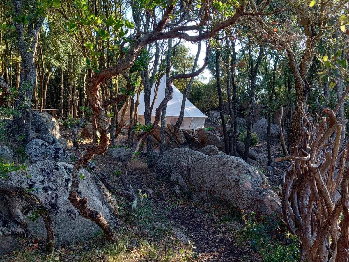 La Cera Farm Camping B&B Santa Teresa Gallura Exteriör bild