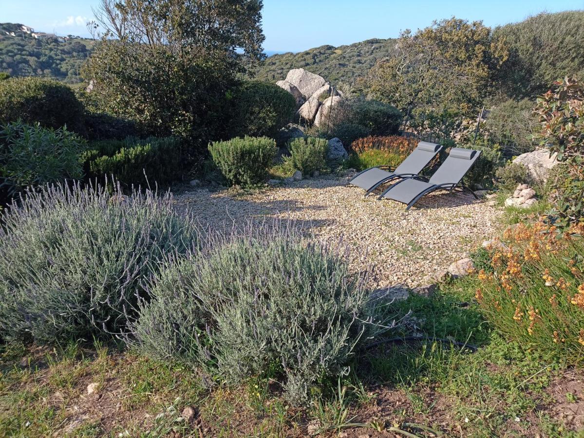 La Cera Farm Camping B&B Santa Teresa Gallura Exteriör bild