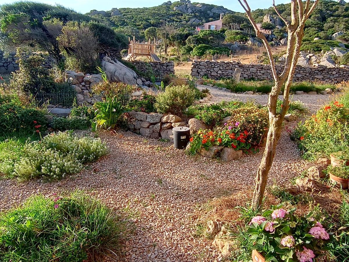 La Cera Farm Camping B&B Santa Teresa Gallura Exteriör bild