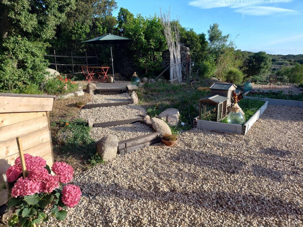 La Cera Farm Camping B&B Santa Teresa Gallura Exteriör bild
