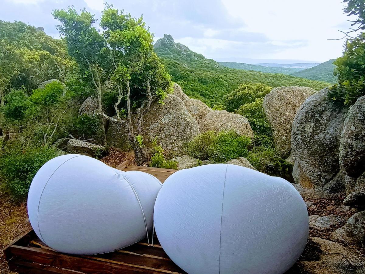 La Cera Farm Camping B&B Santa Teresa Gallura Exteriör bild