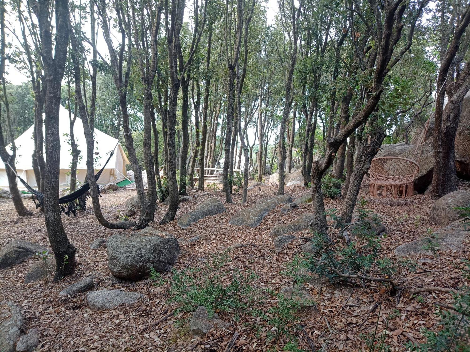 La Cera Farm Camping B&B Santa Teresa Gallura Exteriör bild