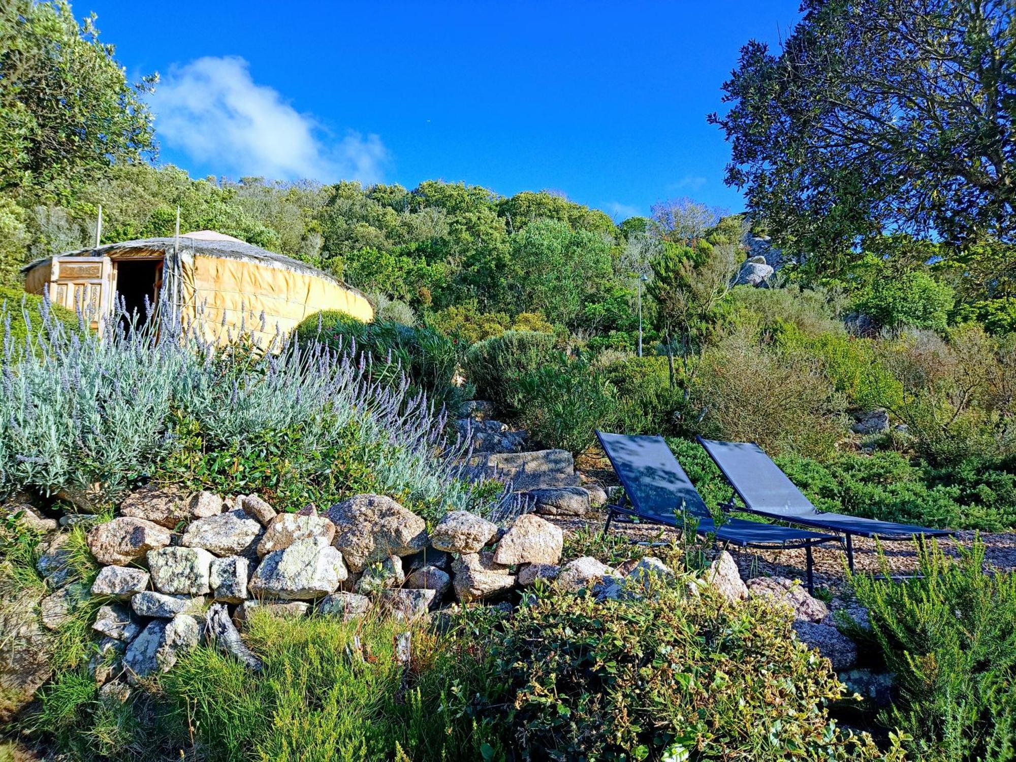La Cera Farm Camping B&B Santa Teresa Gallura Exteriör bild