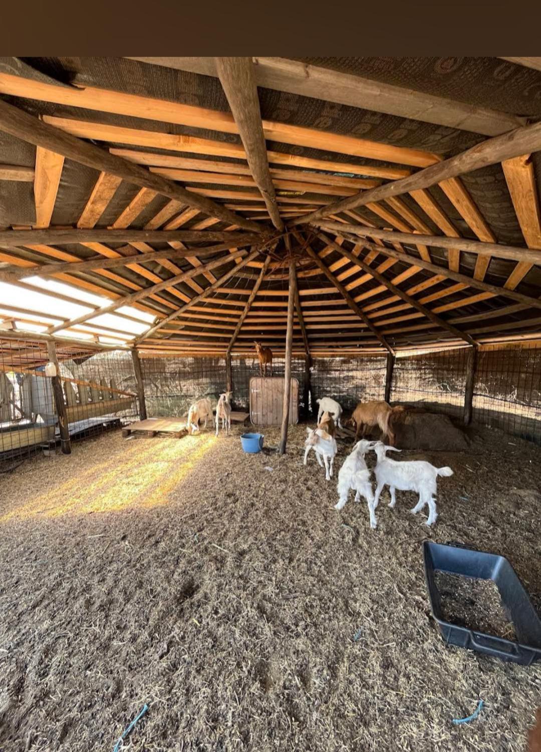 La Cera Farm Camping B&B Santa Teresa Gallura Exteriör bild