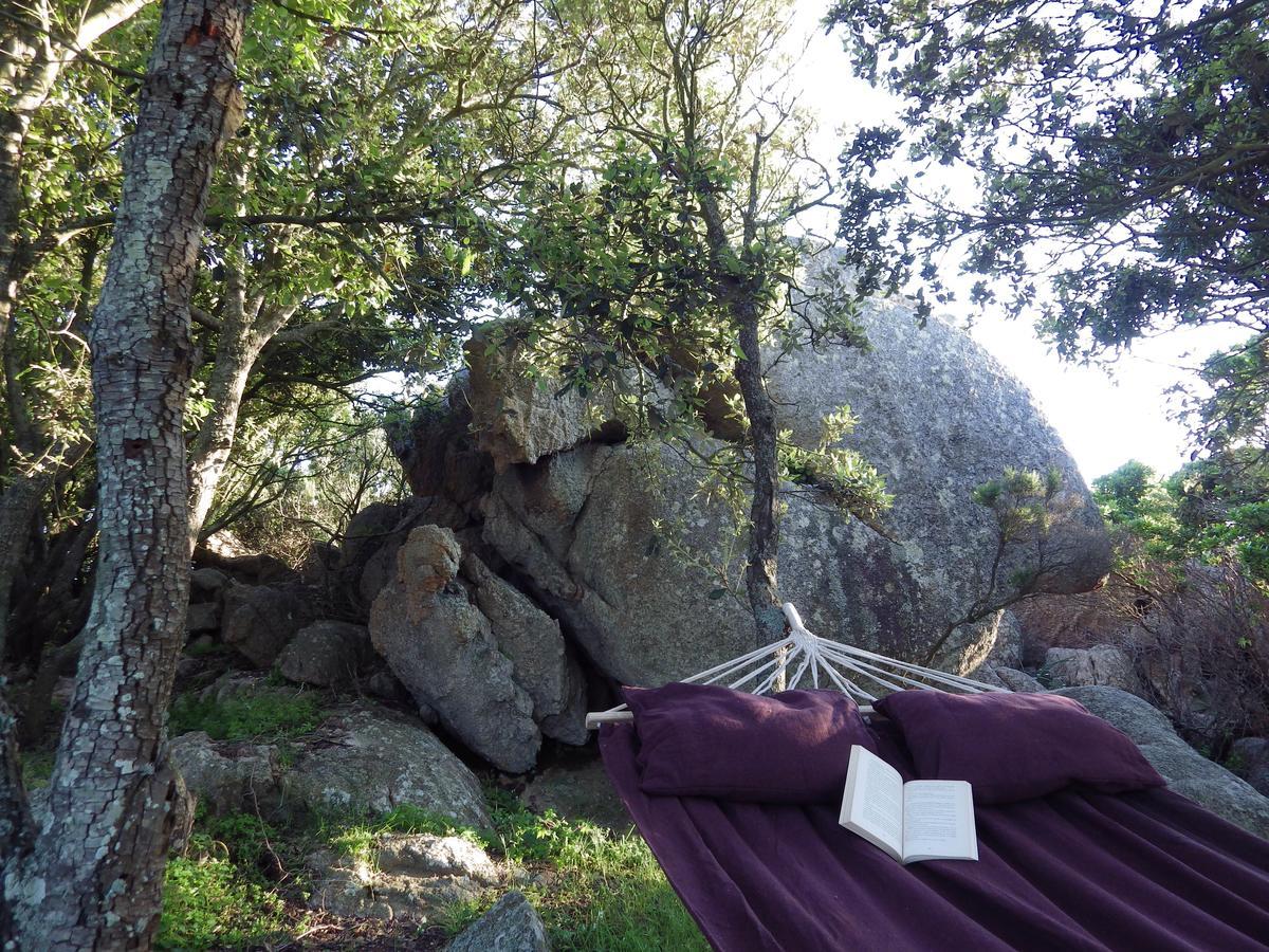 La Cera Farm Camping B&B Santa Teresa Gallura Exteriör bild