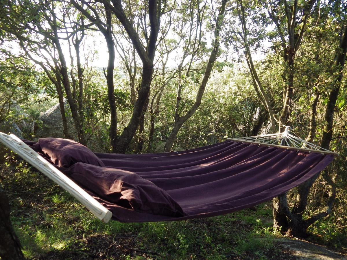 La Cera Farm Camping B&B Santa Teresa Gallura Exteriör bild