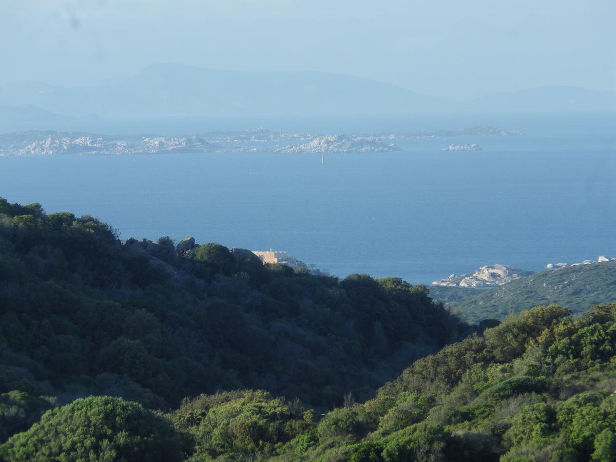 La Cera Farm Camping B&B Santa Teresa Gallura Exteriör bild